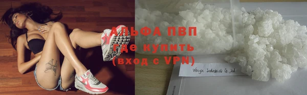 не бодяженный Белокуриха