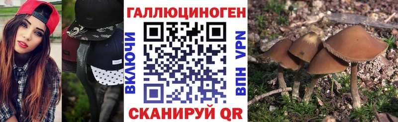 сайты даркнета наркотические препараты Выборг Галлюциногенные грибы Cubensis